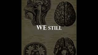 TQ, AQ, IQ, MQ, PQ, EQ, SQ—seven different forms of human intelligence #psychology #mindset#didyoukn