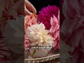 The most beautiful Dahlia varieties