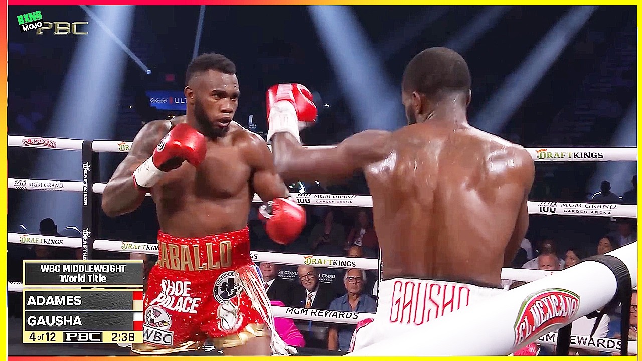Carlos Adames (Dominican Republic) vs Terrell Gausha (USA) - Boxing Highlights HD