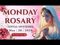 HOLY ROSARY  MONDAY 🟠JOYFUL MYSTERIES OF THE ROSARY🌹 MAY 20, 2024 | COMPASSION AND MOTHERLY LOVE