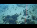 堤防からの水中撮影　カメラを投げ竿で投げてみた　魚影なし　20200219