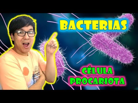 Vídeo: Les cèl·lules del teu cos són procariotes o eucariotes?