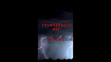 Primal Movement Patterns: The Squat