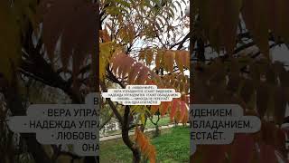 #иисусхристос
