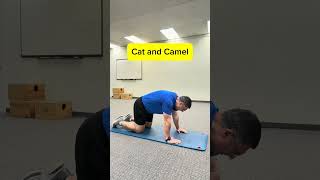 Herniated Disc Mobility and Stretching