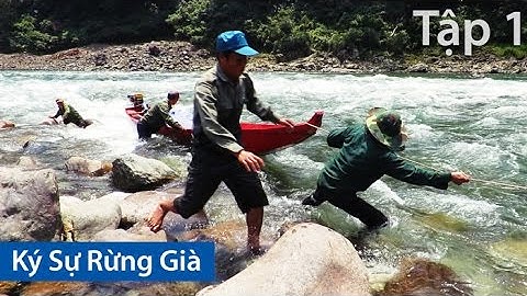 Ký Sự Rừng Già • Tập 1• VƯỢT THÁC SÔNG ĐÀ