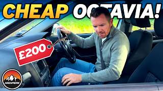 A Cheap £200 Skoda Octavia... What Could Go Wrong?