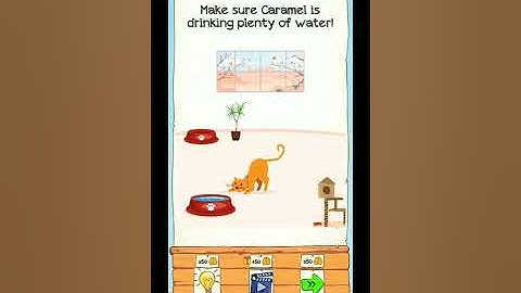 Braindom 2 Level 320 Walkthrough