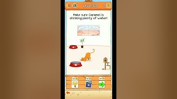 Braindom 2 Level 320 Walkthrough