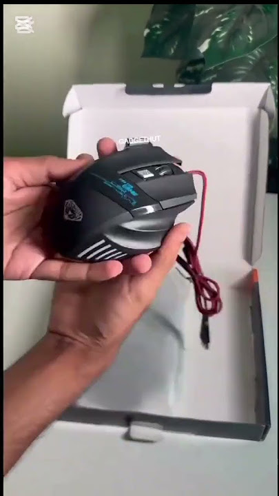 https://vt.tiktok.com/ZSDXHNtLG/