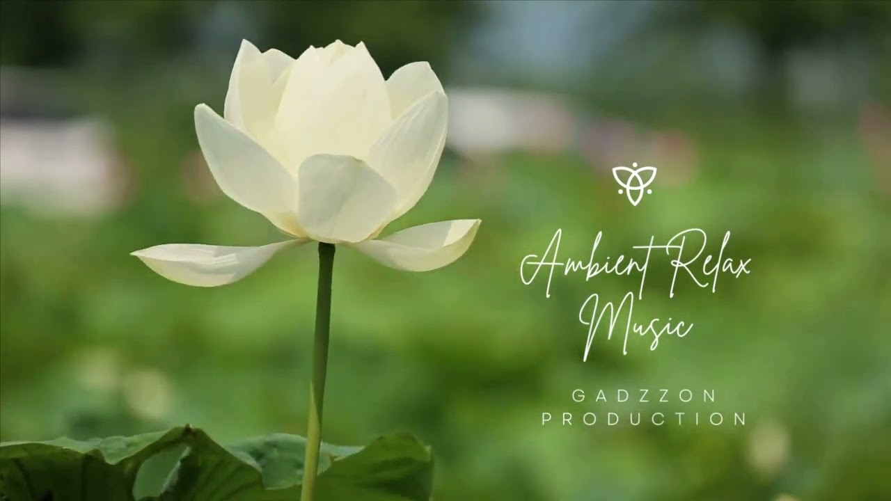 Watch Ambient Relax Music #hypnoticmusic #musicsleeping #ambient #sleep #ambientsleepmusic #ambientmusic on YouTube Watch Ambient Relax Music #hypnoticmusic #musicsleeping #ambient #sleep #ambientsleepmusic #ambientmusic on YouTube