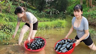 Harvest giant clams,..... bring them to the market to sell, kitchen construction