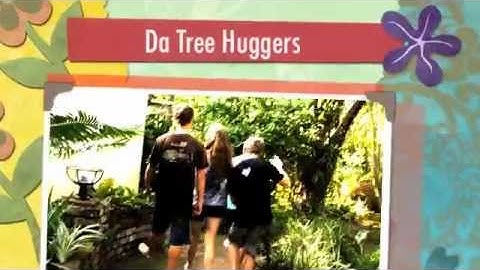 The Tree Huggers Music Video!