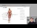 20 minute demo of bodyevolver software for personal trainers and fitness professionals