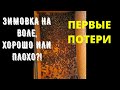 ЗИМОВКА ПЧЕЛ В СИБИРИ НА ВОЛЕ ПОД СНЕГОМ ! ПЕРВЫЕ ПОТЕРИ ! ПЧЕЛОВОДСТВО ДЛЯ НАЧИНАЮЩИХ!