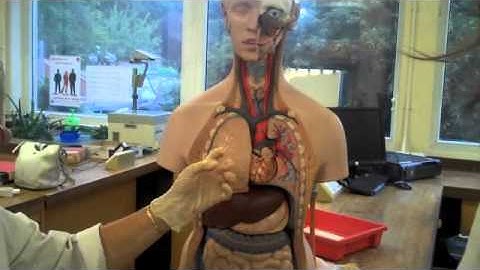 Kerrang! Radio: Alex Baker Goes Back To College - Science Masterclass @ Stourbridge College