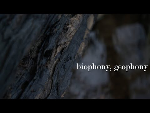 biophony, geophony