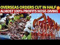 China&#39;s Overseas Orders Cut In Half!Oil Industry Profits Nose-diving Close to 100%!Economic Collapse