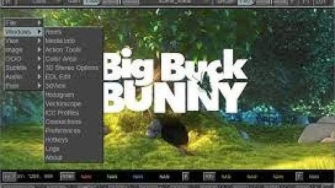 How To Download mrViewer 32 bit Free For Windows