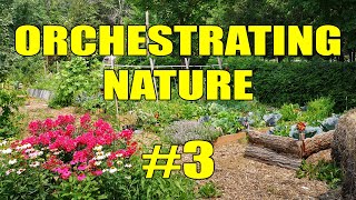 Raised Garden Beds on a Budget | Orchestrating Nature #3