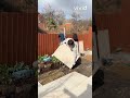 Patio Transformation by Vivid Scapes | Bristol Landscaping Company