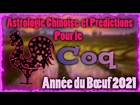 Vidéo: Horoscope Oriental Du Coq De Feu