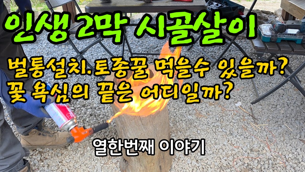 벌통놓기ㅣ꽃쇼핑 ㅣ화단꾸미기ㅣ꽃모종관리
