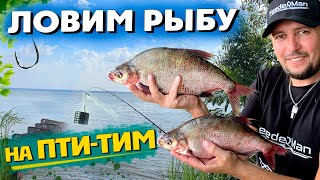 видео: Как ловить фидером на бровках? Ловля леща на фидер. Готовим битые огурцы. картинка: Как ловить фидером на бровках? Ловля леща на фидер. Готовим битые огурцы.