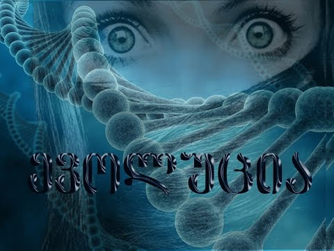 Evolution-ევოლუცია