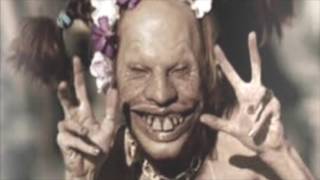 THE MUSIC AT THE BEGINNING OF THE WINDOW LICKER VIDEO BY THE APHEX TWIN.
