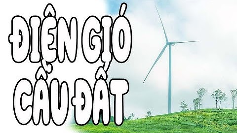 Đồi chè Cầu Đất Đà Lạt - Ngắm điện gió khổng lồ