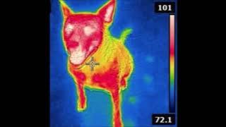 Trippie Redd & XXXTentacion Ghost Busters ft. Quavo & Ski Mask The Slump God (Official Audio)