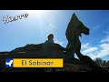 Senderismo El Hierro - El Sabinar (subtitulos)