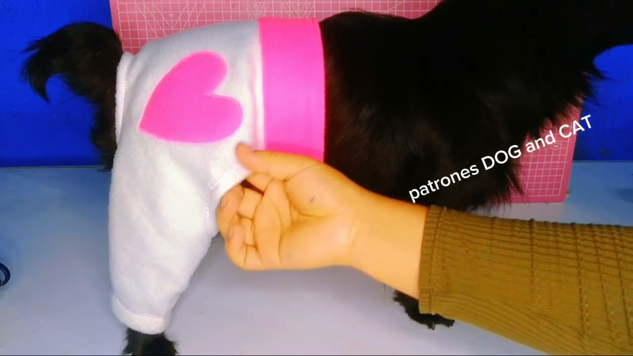 PANTALÓN  DE PERRITO - PRUEBA Y DIFERENCIA