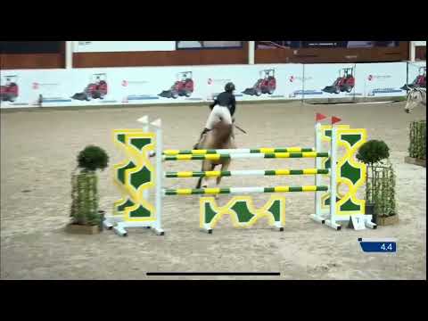 A Lucky One Z 140 CSI2* Lier