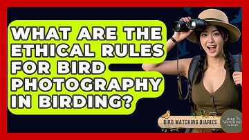 What Are The Ethical Rules For Bird Photography In Birding? - Bird Watching Diaries