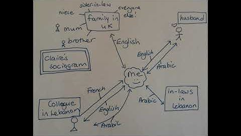 Learner languages: Sociogram activity
