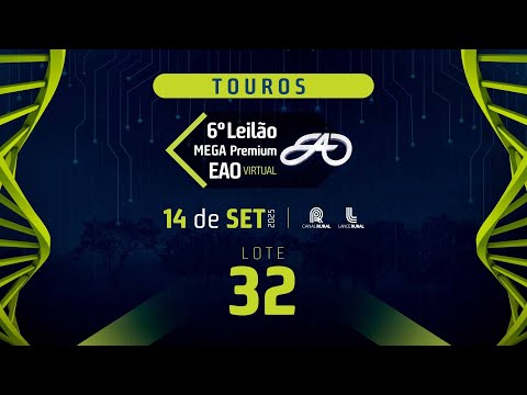 LOTE 32