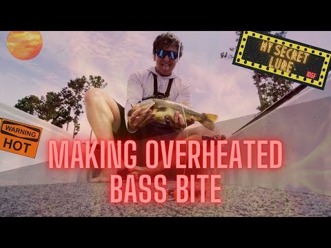 How to Catch a BAG of BASS in the Middle of the Day (Hot Summer Day Bassin’)