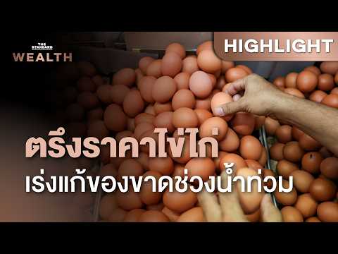 พาณิชย์เร่งแก้ปัญหาผัก-ไข่ขาดตลาด สั่งตรึงราคาไข่ไก่ 4 บาท ยืดอายุแม่ไก่ไข่ | THE STANDARD WEALTH