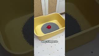 Pourquoi il à changé le lit de ses Chats ?! 😱