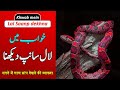 Red color snake in dream  khwab me lal rang ka saanp dekhna  khwabon ki tabeer episode 160