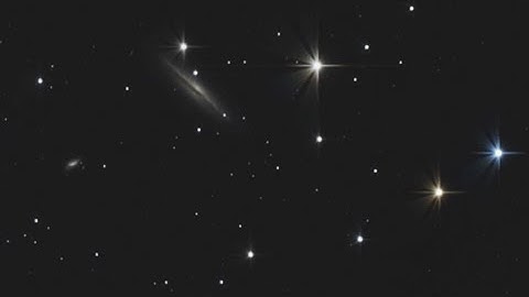 Newtonian Collimation using the OCAL collimator