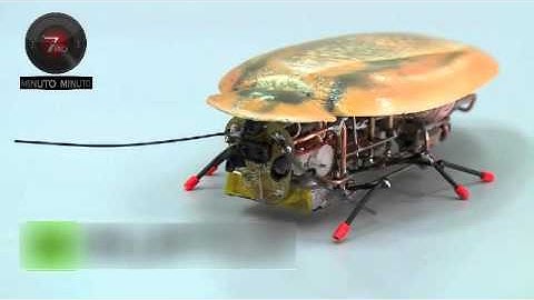 Una cucaracha robot, El último grito en biotecnología