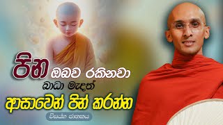 166. බාධා මැදත් පින් කරන්න | විසය්හ ජාතකය | 2023-11-07