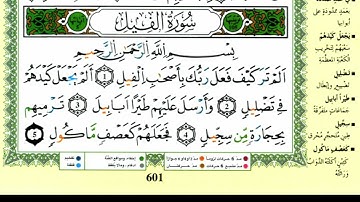 سورة الفيل للقارئ ياسين الجزائري برواية ورش