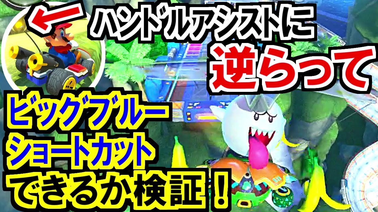 camera iphone 8 plus apk 検証!アシスト機能VSビッグブルーショートカット!マリオカート8デラックス(87)