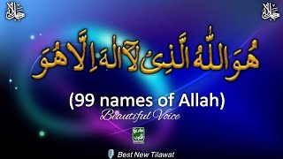 Asma Ul Husna 99 Names of Allah Beautiful Voice | اسماء الحسنٰی | Relaxing Soft Voice