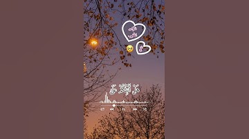 الآيات الأقرب إلى ❤️ي من سورة الشعراء||بصوت القارئ إسلام صبحي.