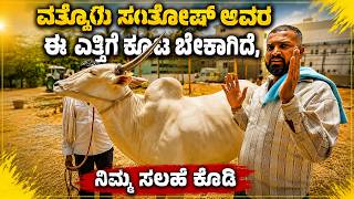 ಈ ಎತ್ತಿಗೆ ಕೂಟ ಇದೆಯಾ? ನಮಗೆ ಕೊಡಿ.. ಇಲ್ಲ.. ನೀವೇ ತಗೊಳ್ಳಿ ..
